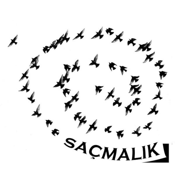 Saçmalık kapak görseli